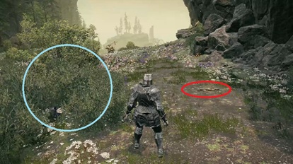 影を仰ぐ露台ツリーガードヨラーン召喚サイン2