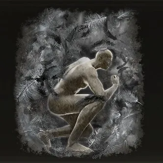 霧の猛禽 霧の猛禽